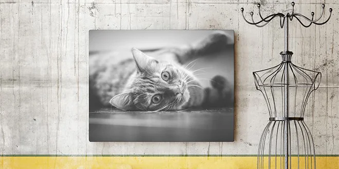 EKO fotoobrazy na talianskom maliarskom plátne