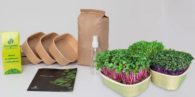 Sady na pestovanie mikrozeleniny a mikrobyliniek