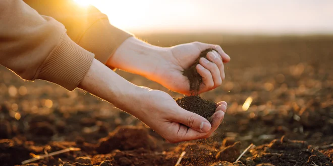 Prírodné hnojivo z hmyzieho trusu: 1 l, 3 l, 5 l alebo 10 l balenie