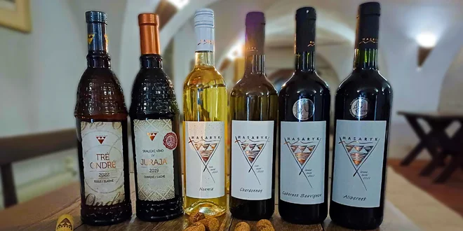 Tradičné vína od Masaryka na každú príležitosť – kartóny po 6 ks aj mix