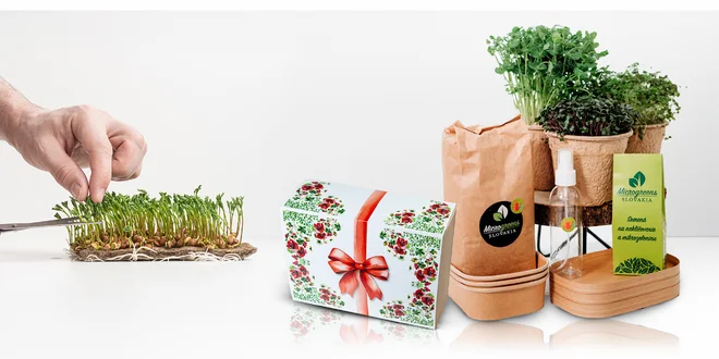 Sady na pestovanie mikrozeleniny a mikrobyliniek