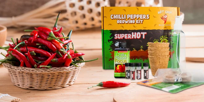 Darčeková sada na pestovanie chilli papričiek vrátane hnojiva