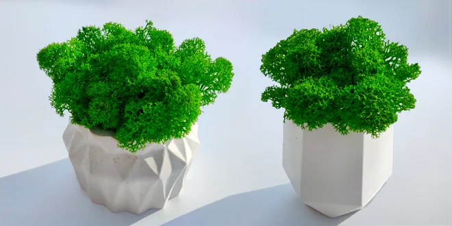 Ručne vyrobené machové obrazy a kvetináče