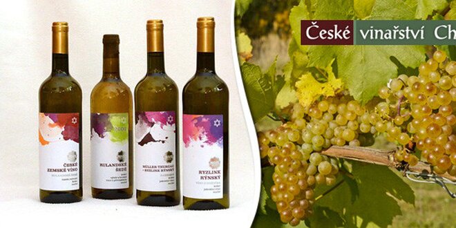 Výběr 6 košer vín z Českého vinařství Chrámce