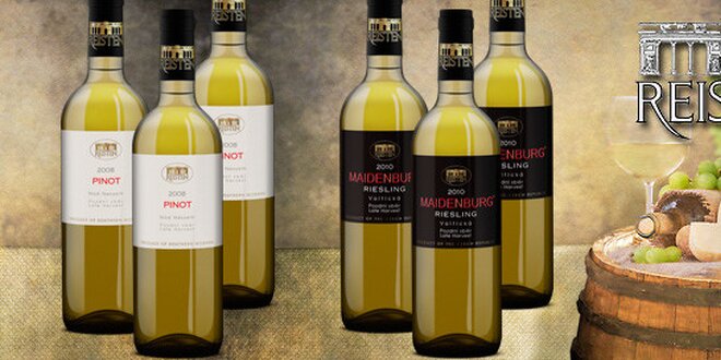 6 vynikajících bílých vín z vinařství Reisten