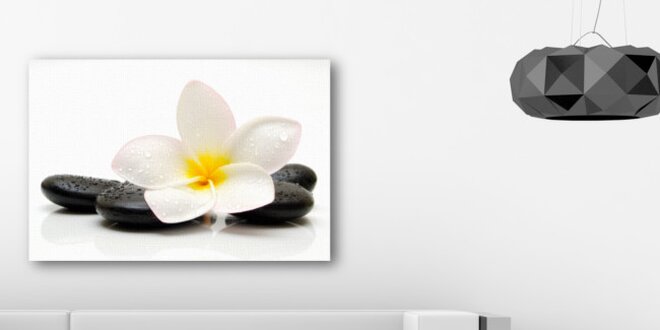 Bílá orchidej a lávové kameny