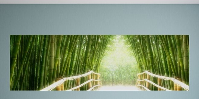 Panoramatický obraz Bambusový les 120x37 cm