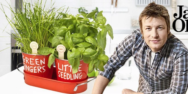 Sada na pěstování bylinek Jamie Oliver