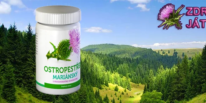 Ostropestřec - detoxikace a zdravá játra!
