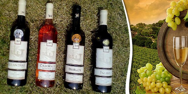 4 lahve přívlastkového vína z Mikulovské vinařské podoblasti.