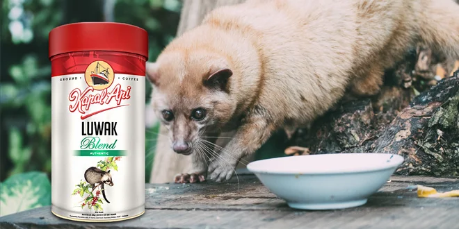 Cibetková káva Kopi Luwak z Indonésie: 200 g, až 4 ks