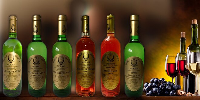 Kolekce 6 vín z moravského vinařství Hlávka