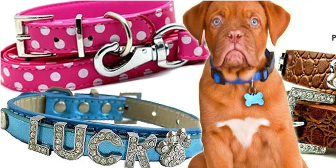 Kožené obojky a vodítka pro psy Petty