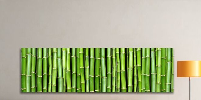 Bambusová fantazie