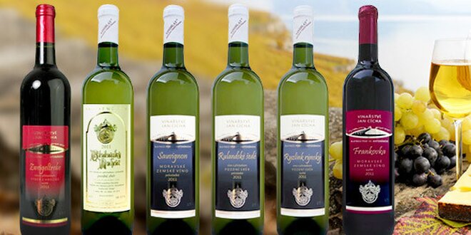 Výběr 6 špičkových vín z Vinařství Jan Cícha