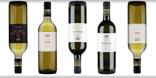 6 mimořádných bílých vín z vinařství Reisten