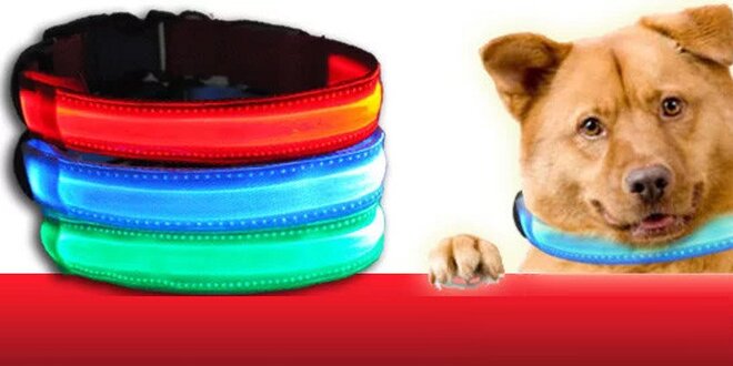Svítící LED obojek PETTY pro Vašeho pejska