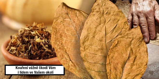 Doutníky Flor de Besana Churchill