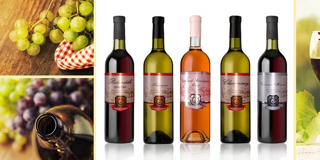 6 znamenitých ročníkových vín z Vinařství Soviš