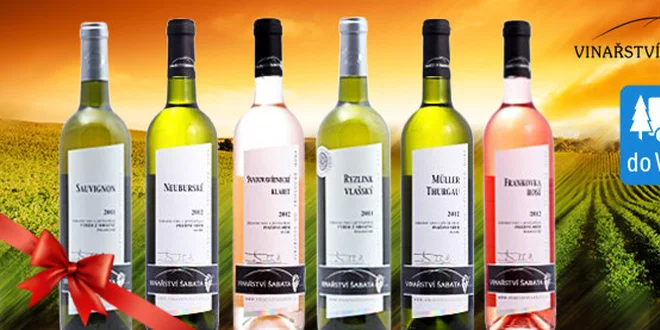 6 vín z rodinného vinařství Šabata