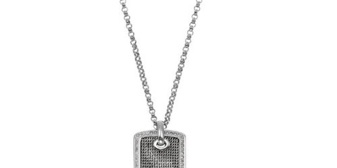 Dámský náhrdelník s plíškem DKNY