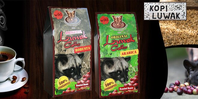 50 g exkluzivní cibetkové kávy Kopi Luwak
