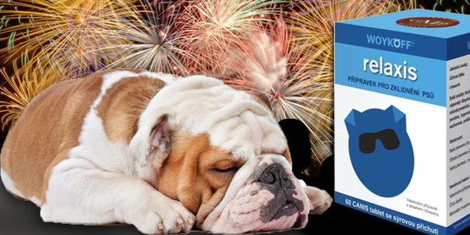 RELAXIS - a Váš pes se nebude bát dělobuchů ani na Silvestra