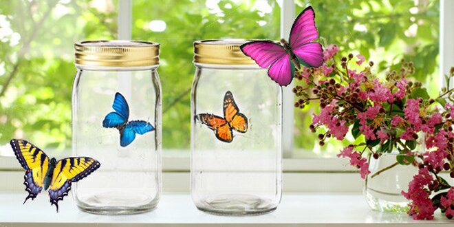 Věčný motýl ve sklenici – úplně jako živý