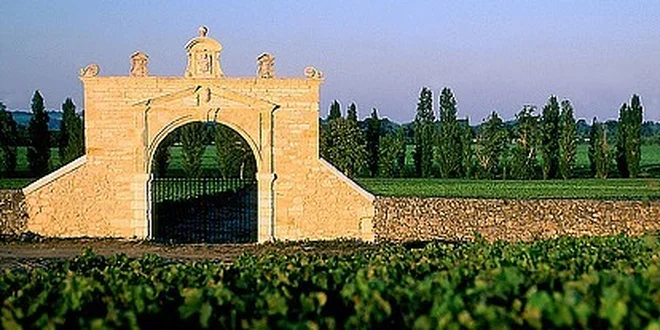 Chateau des Moines 2009, Montagne-Saint-Émilion