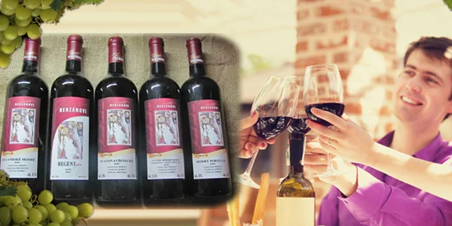 Kolekce šesti vín od Herzánových