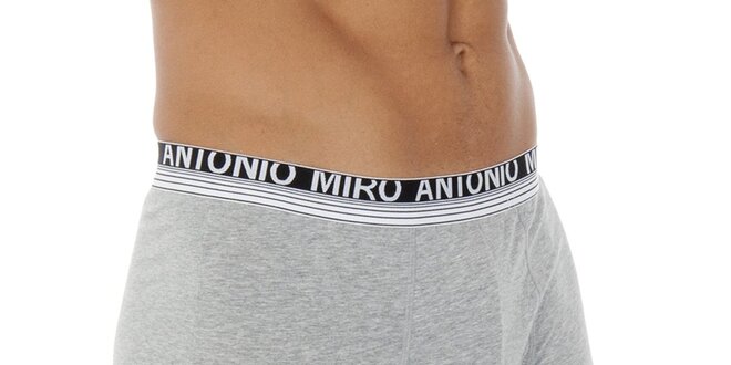 Pánské šedé boxerky Antonio Miro