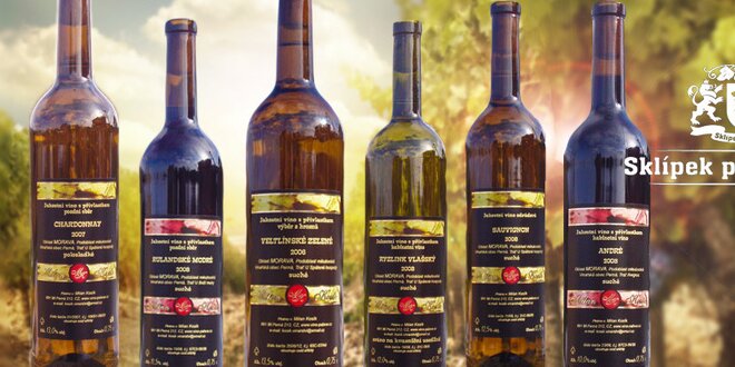 6 láhví osobitých vín z vinařství Milan Kosík