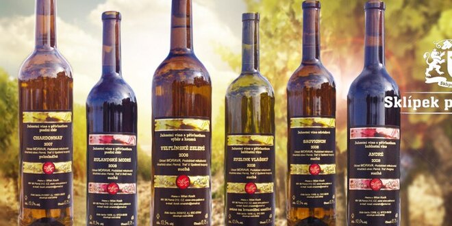 6 láhví osobitých vín z vinařství Milan Kosík
