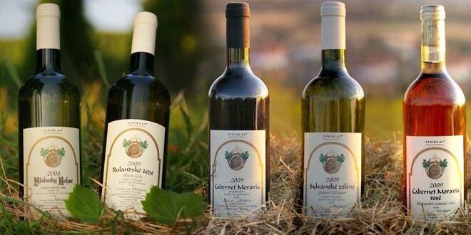 6 vín z Vinařství Antonín Straka
