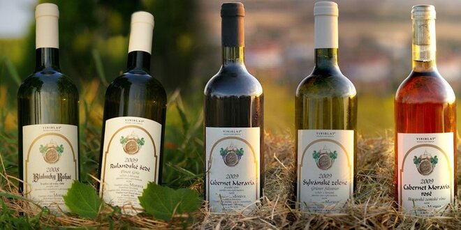 6 vín z Vinařství Antonín Straka