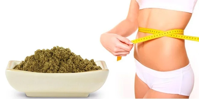 Konopný protein Bio Raw pro zdravé hubnutí a udržení váhy