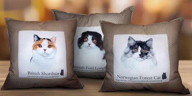 Kvalitní bavlněné polštářky Beautiful Cats