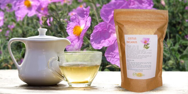 Bylinný čaj Cistus Incanus - detoxikujte a zhubněte snadno