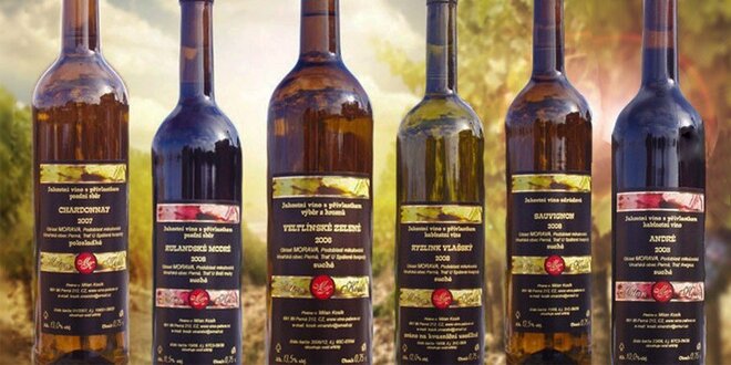 6 lahví vína z rodinného vinařství Milan Kosík