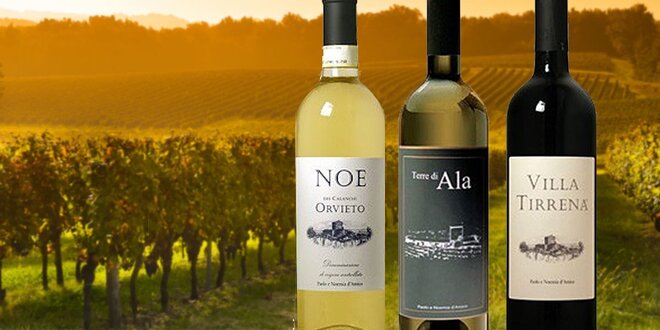 Italská vína z toskánského vinařství