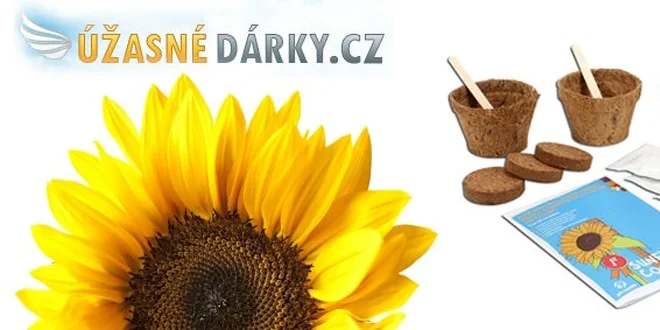 145 Kč za úžasný dárkový set pro vypěstování vlastních slunečnic!