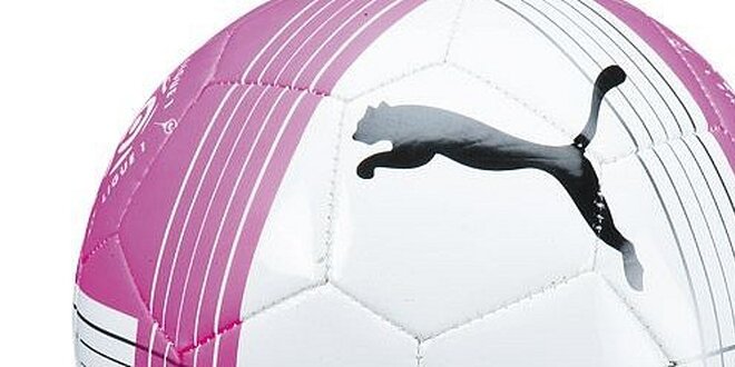 Fotbalový míč Puma Ligue 1 Replika