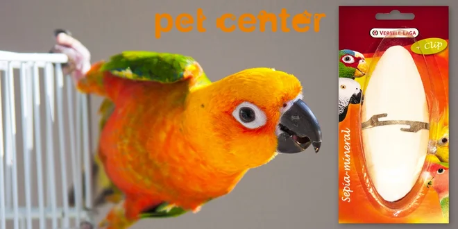 3 sépiové kosti pro papoušky