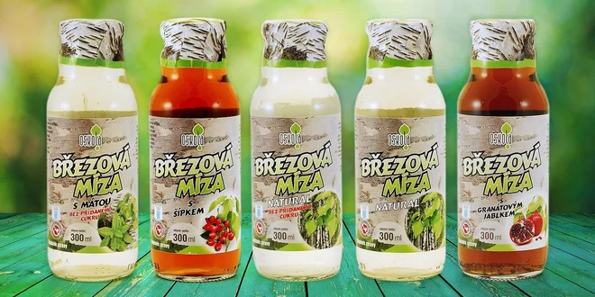 Přírodní březová míza na jarní detox a imunitu
