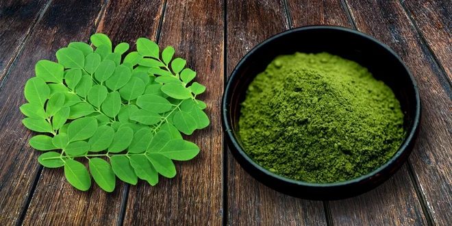 Moringa BIO: Dokonalý detox i posilnění organismu