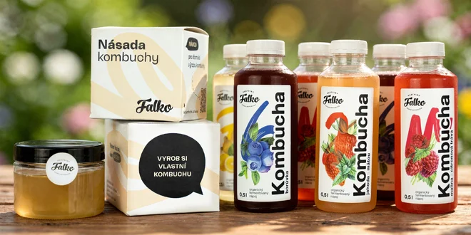 Kombucha na imunitu i trávení: 6–12 lahvinek (500 ml)