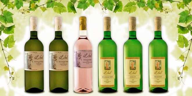 Letní kolekce 6 vín z vinařství Líbal