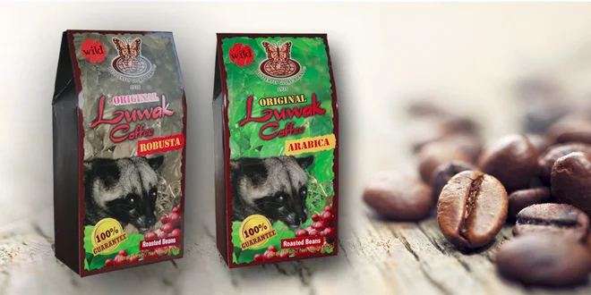 50 gramů cibetkové kávy Kopi Luwak