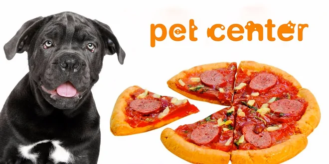 Pizza pro psí gurmány od Huhubamboo