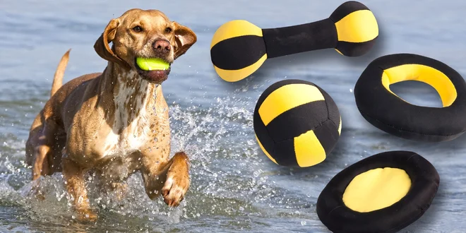 Vodní radovánky: Plovací hračky pro pejsky